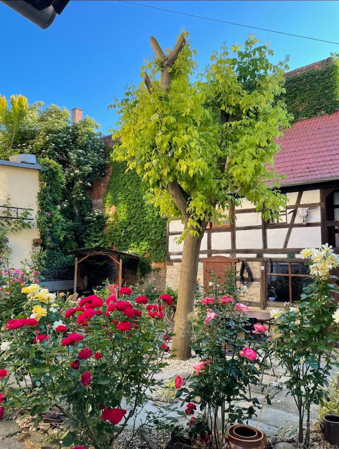 & Cafe Mohrenbrunnen 3*