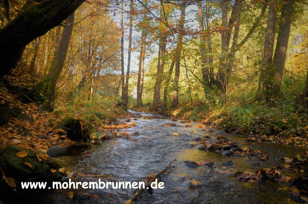 Mohrenbrunnen 3*
