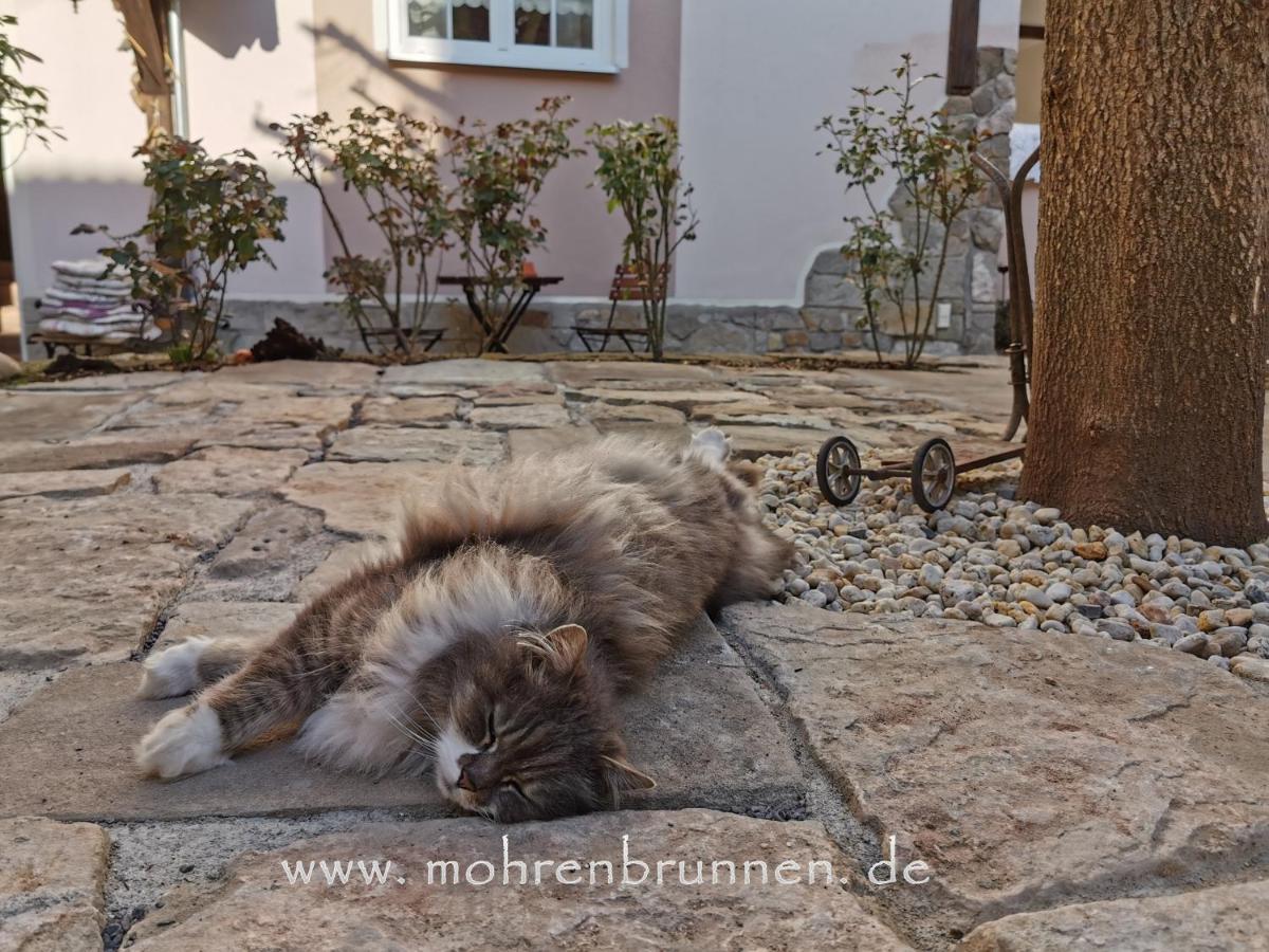 & Cafe Mohrenbrunnen 3*